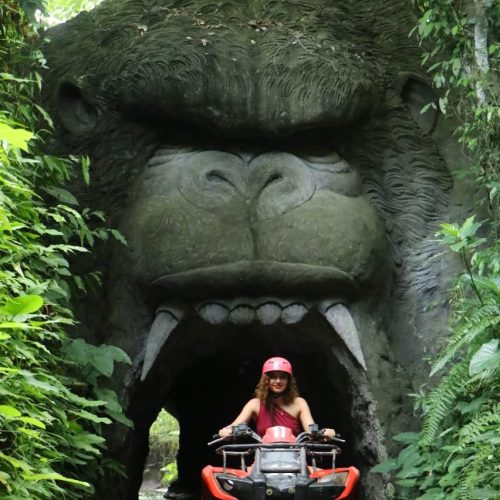 Gorilla Ubud ATV